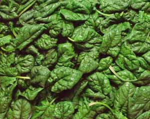 alpha lipoic acid in spinach